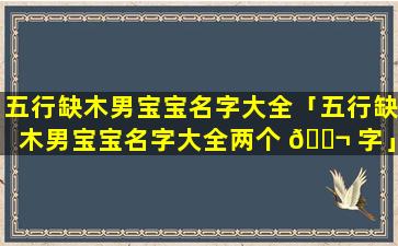 五行缺木男宝宝名字大全「五行缺木男宝宝名字大全两个 🐬 字」